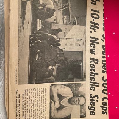 sierra_damiani's profile picture. 