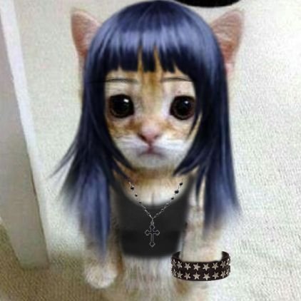 @mizigoto