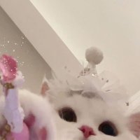 두나콩 (@doona1289) 's Twitter Profile