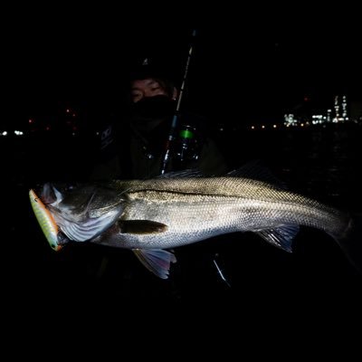 0128seabass Profile Picture