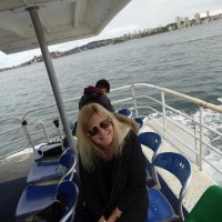 Di (@di_thr_cat) 's Twitter Profile