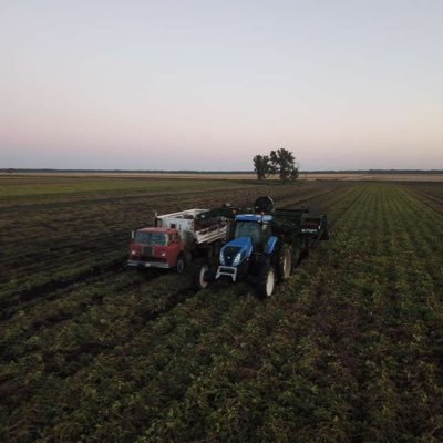 Capturing that Carbon Spuds and Onions