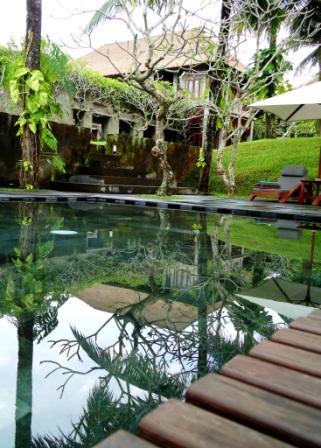 realitybit3s's profile picture. Speak out my mind and my feeling