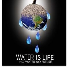 Save water, before it's too late. The more water you waste, the lesser your life on Earth will be. Water is essential