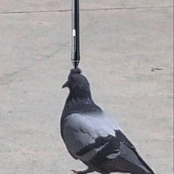 쿡쿄/우롱티さんのプロフィール画像