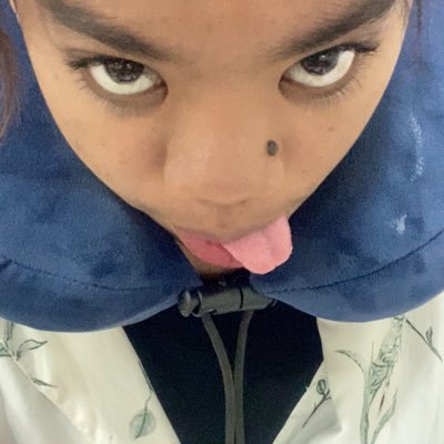 northquinoa's profile picture. 