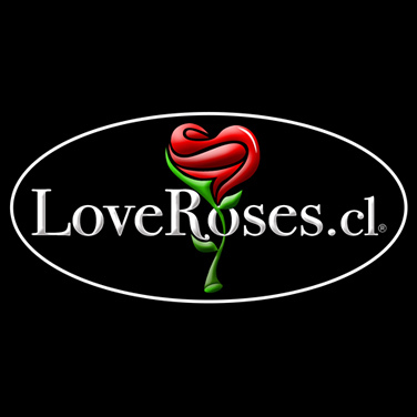 Rosas Ecuatorianas - Rosas a Domicilio - Regalos Online 
Telefono:  7329965  E-Mail: ventas@loveroses.cl
