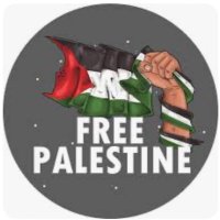 letsfreePalestine(@LtsFrePalestine) 's Twitter Profileg