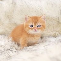 Tamdao (@pa000556) 's Twitter Profile