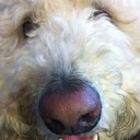 Scott Lesh - @LeshScott - Twitter