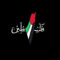 Aida Esleem 🇵🇸 (@aidaesleem) 's Twitter Profile