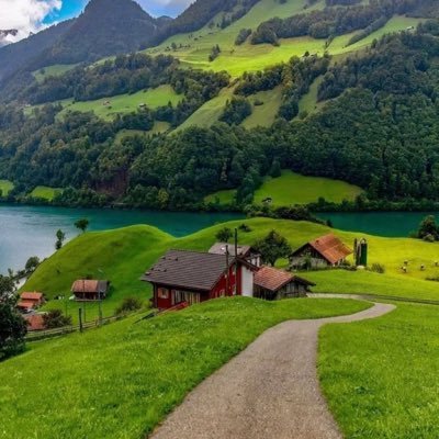 ever1122240591's profile picture. 