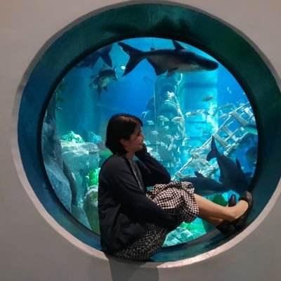 Mari_vn_jp's profile picture. 日本語教師6年目👩‍🏫 ベトナム🇻🇳→日本🇯🇵令和5年日本語教育能力試験一発合格💯 4月から国内日本語学校常勤👨‍💼令和6年度大手前大学通信教育部に3年次編入✏️オンライン日本語教師👩‍🏫