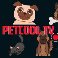 PetcoolTv(@PetcoolTV) 's Twitter Profile Photo
