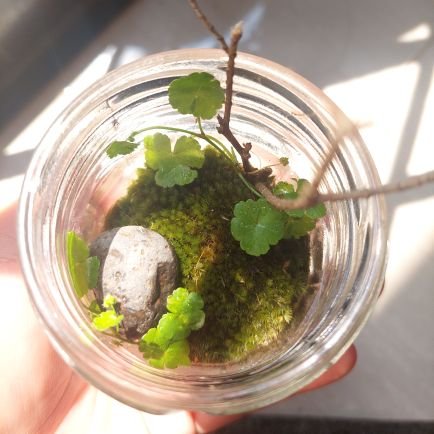 moonlightdulu's profile picture. ..whatever.