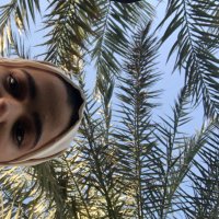mariam (@mrmsmi_) 's Twitter Profile Photo mariam (@mrmsmi_) 's Twitter Profile Photo