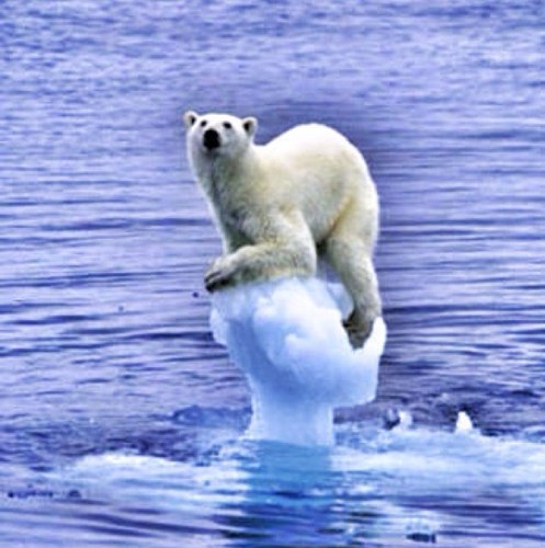 imbertp's profile picture. #info #insolite #lifestyle