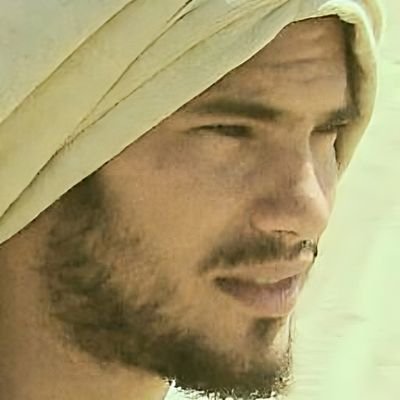 wazari_'s profile picture. La oveja gris.