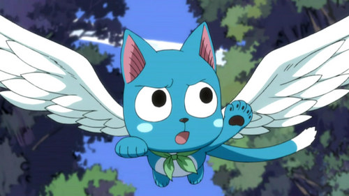 Hello, I'm Happy and I'm a proud member of the guild, Fairy Tail and a member of team Natsu. I am a exceed from Extalia but I was born in Magnolia. Aye!