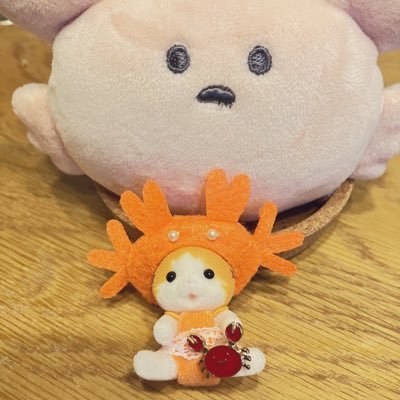 🦀さんのプロフィール画像