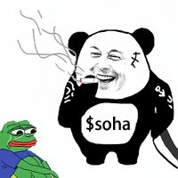 梭哈哥 (@soha_btc) 's Twitter Profile