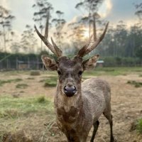 Conor Auer (@conor_auer48987) 's Twitter Profile