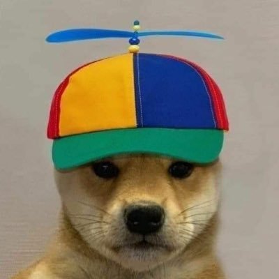 thecoochpooch Profile Picture