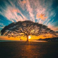 Fida Muhammad (@fidam8284) 's Twitter Profile