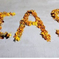 Sanjay Verma (@sanjay45rohit) 's Twitter Profile