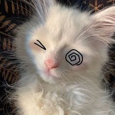 Noelle_S2_'s profile picture. She/Her