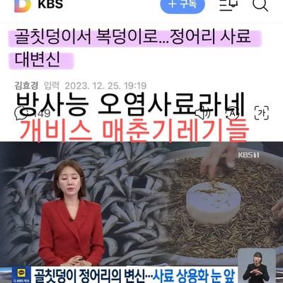 사필귀정은 있는가? 개뿔이다. 썩은 거지발싸개들 때문에 없다.

가짜우빨보수들은 원래 대화가 안됨. 벽하고 얘기하는게 남. DNA 자체가 능글맞고 구라가 인생 그 자체임. 안면몰수 철면피. 후안무치하고 파렴치함.속으면 바로 완전 븅신과 등신됨. 내 이익에만 사로 잡힌 무식하고 무지몽매해