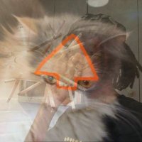 sleepy crusader (@honestdrizzyfan) 's Twitter Profile Photo