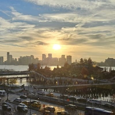 Sadia29099426's profile picture. 