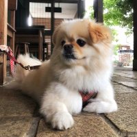 さいたま (@saitama_5992) 's Twitter Profile Photo さいたま (@saitama_5992) 's Twitter Profile Photo