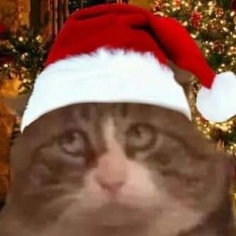 RoelinAshryver's profile picture. Droll tragedy 🐬🐉