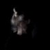 Anne (@annekinnunen1) Twitter profile photo Anne (@annekinnunen1) Twitter profile photo