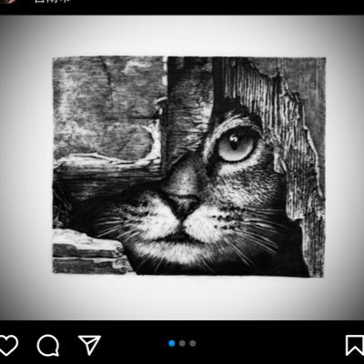 fcs3365's profile picture. 