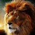 Nihat Çelik (@nihatcelik5481) Twitter profile photo Nihat Çelik (@nihatcelik5481) Twitter profile photo