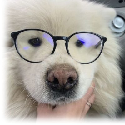 le_tessia's profile picture. "Мы поддерживаем антивоенные демонстрации российского народа." Нет войне! 平和に反する侵略国家ロシアと、それを無視する似非平和主義者に対しての断固として抗議します。no war 画像は基本ai 天安門事件