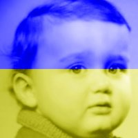 Bert Sittich 🇵🇸 🇺🇦 🏳️🌈 (@sittichbert) 's Twitter Profile