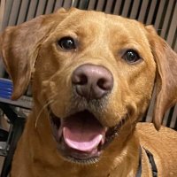 Erick Jacobs (@jacobseric70708) 's Twitter Profile