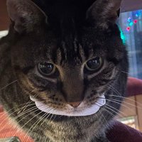 EDENlol (@edeneuw) 's Twitter Profile