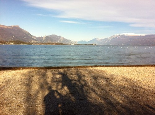 ennioavanzini's profile picture. 