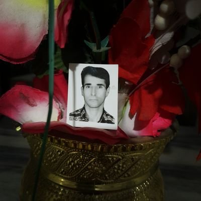 behroz76295's profile picture. 