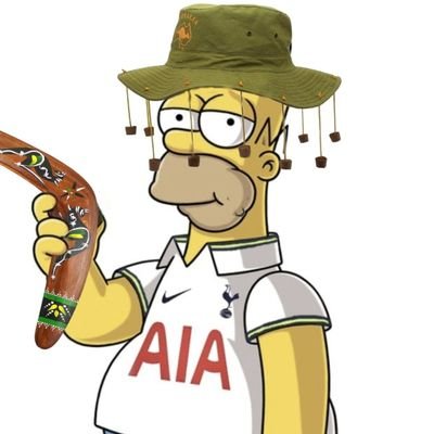 SpursSimpsons Profile Picture