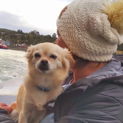 ArnoldClau's profile picture. Quiero un Chile 🇨🇱 mejor y más justo ✊🏻 amor profundo por la madre tierra 🌎 #NoaDominga