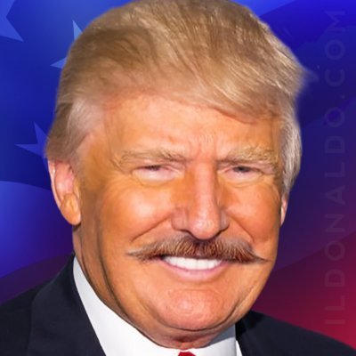 il Donaldo Trumpo Profile