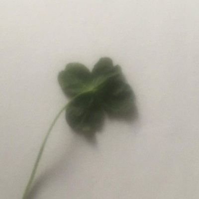 Txeyxu_'s profile picture. ENTP 🦭