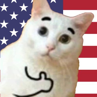 in gigacat we trust