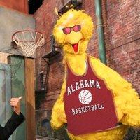 Big Bird (@bamabigbird) 's Twitter Profile